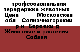 профессиональная передержка животных › Цена ­ 550 - Московская обл., Солнечногорский р-н, Бережки д. Животные и растения » Собаки   